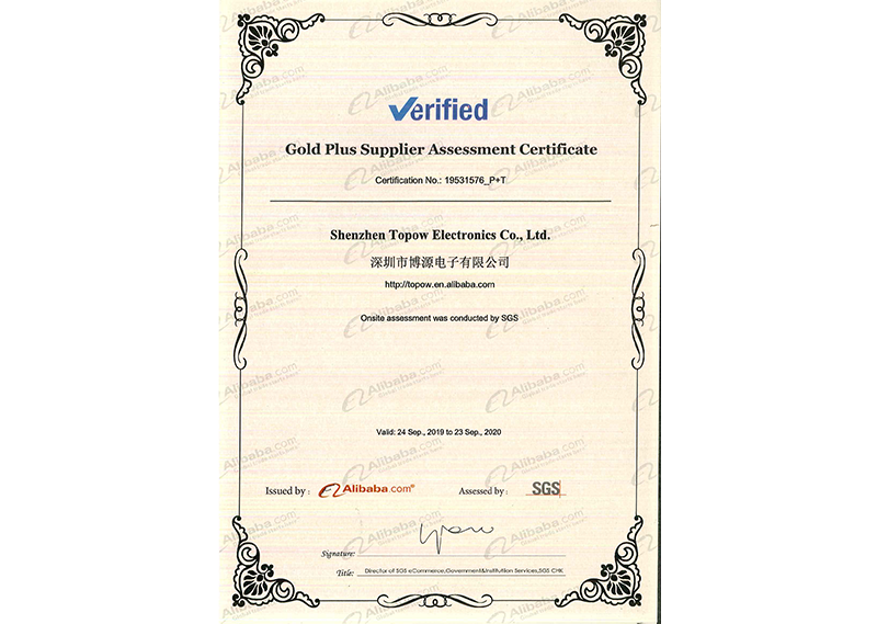 SGS Factory Audit certificate